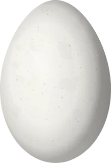 Magnificent Frigatebird egg, 68.4 × 46.5 mm