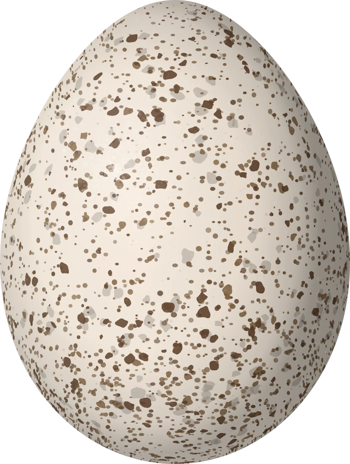 Illustration of a Magnolia Warbler (Setophaga magnolia) egg, 16.3 × 12.3 mm