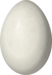 Illustration of a Maguari Stork (Ciconia maguari) egg, 75.8 × 52.7 mm