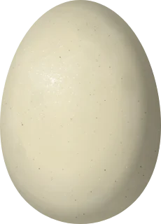 Mallard egg, 57.8 × 41.6 mm