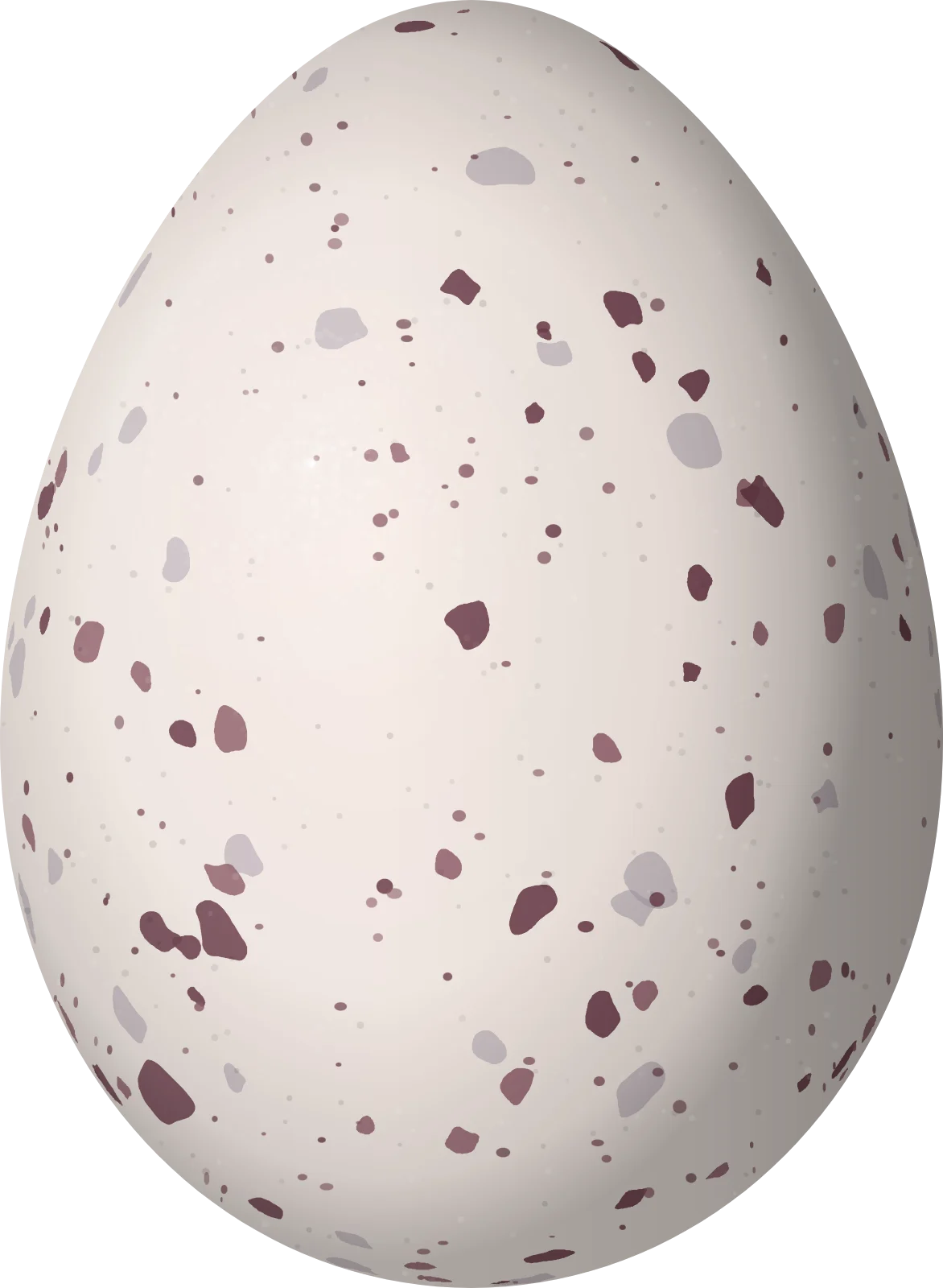 Illustration of a Manicore Warbling Antbird (Hypocnemis rondoni) egg, 19.8 × 14.5 mm