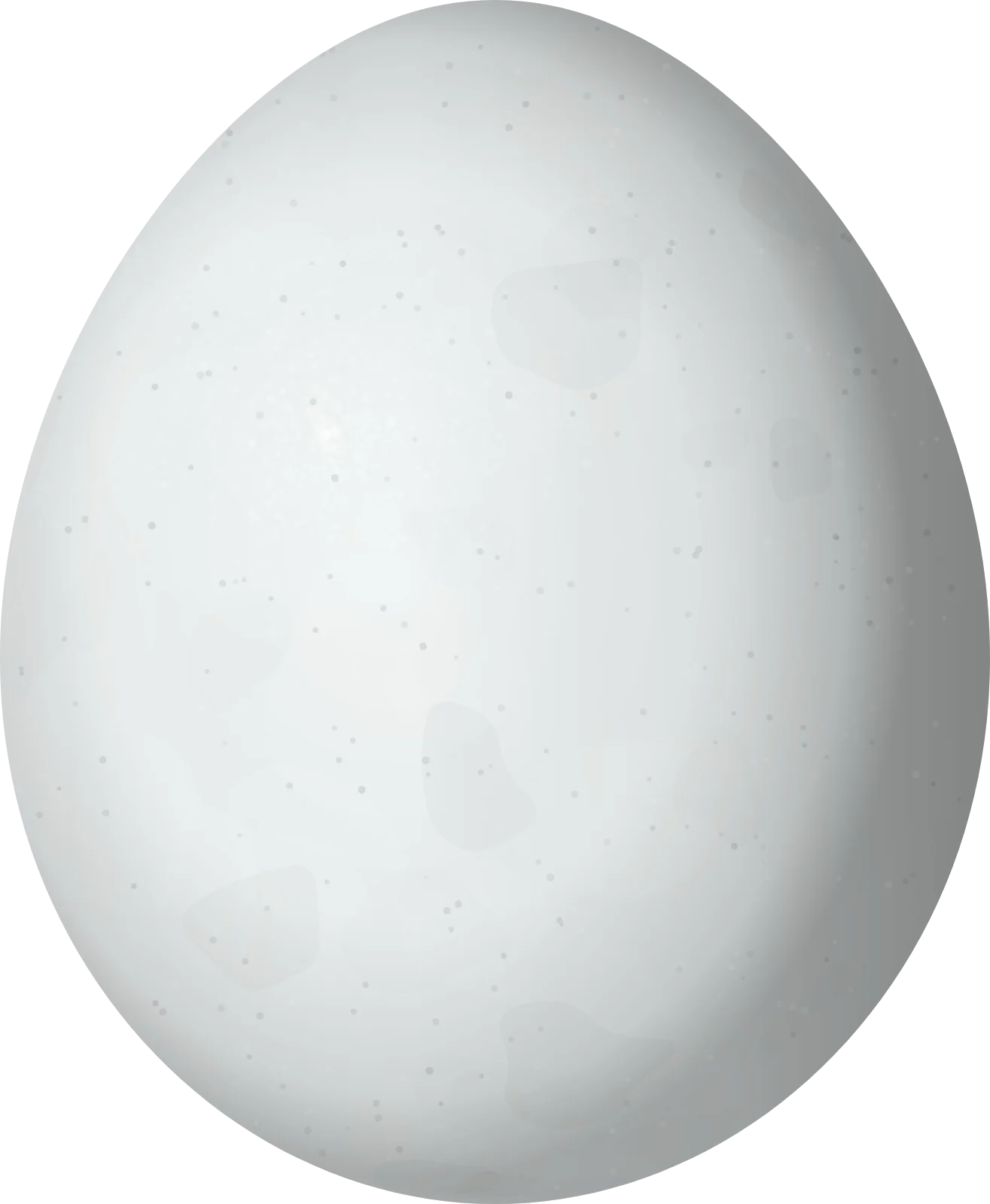 Illustration of a Mantled Hawk (Pseudastur polionotus) egg, 54.5 × 44.8 mm