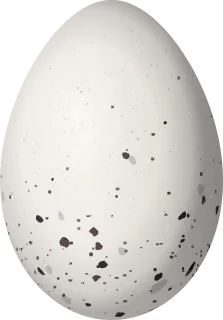 Illustration of a Many-colored Chaco Finch (Saltatricula multicolor) egg, 21.76 × 15.16 mm
