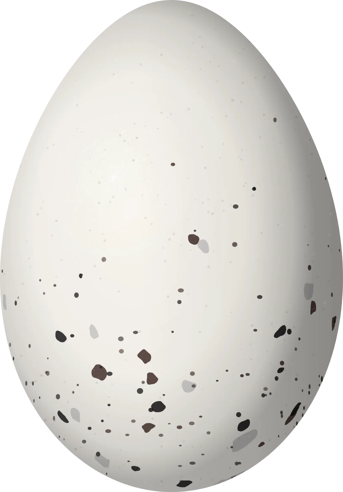 Illustration of a Many-colored Chaco Finch (Saltatricula multicolor) egg, 21.76 × 15.16 mm