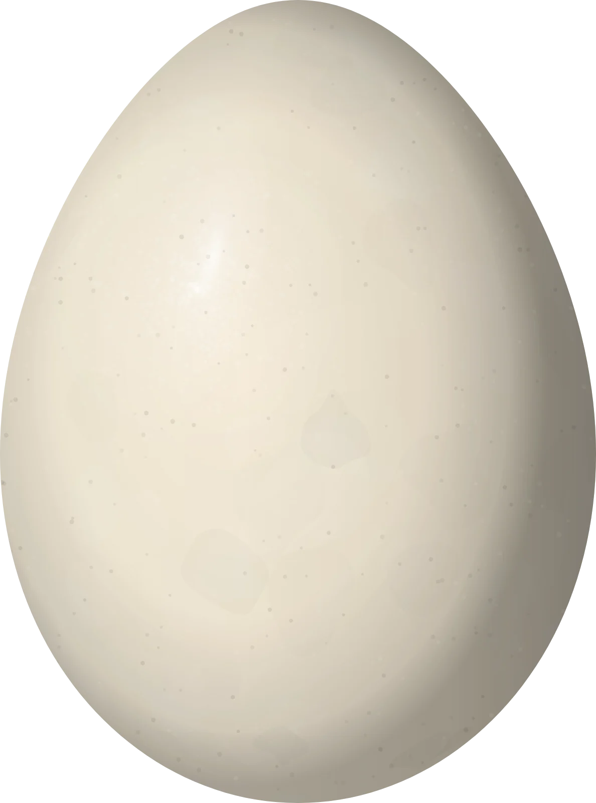 Illustration of a Many-colored Rush Tyrant (Tachuris rubrigastra) egg, 16.7 × 12.4 mm