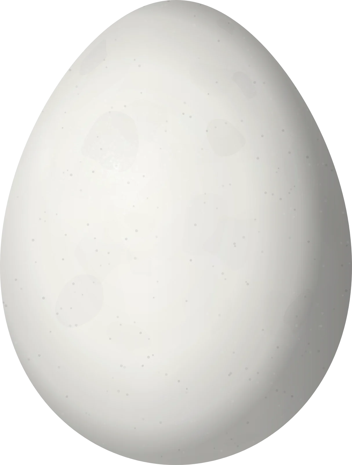 Illustration of a Maranon Spinetail (Synallaxis maranonica) egg, 20.3 × 15.4 mm