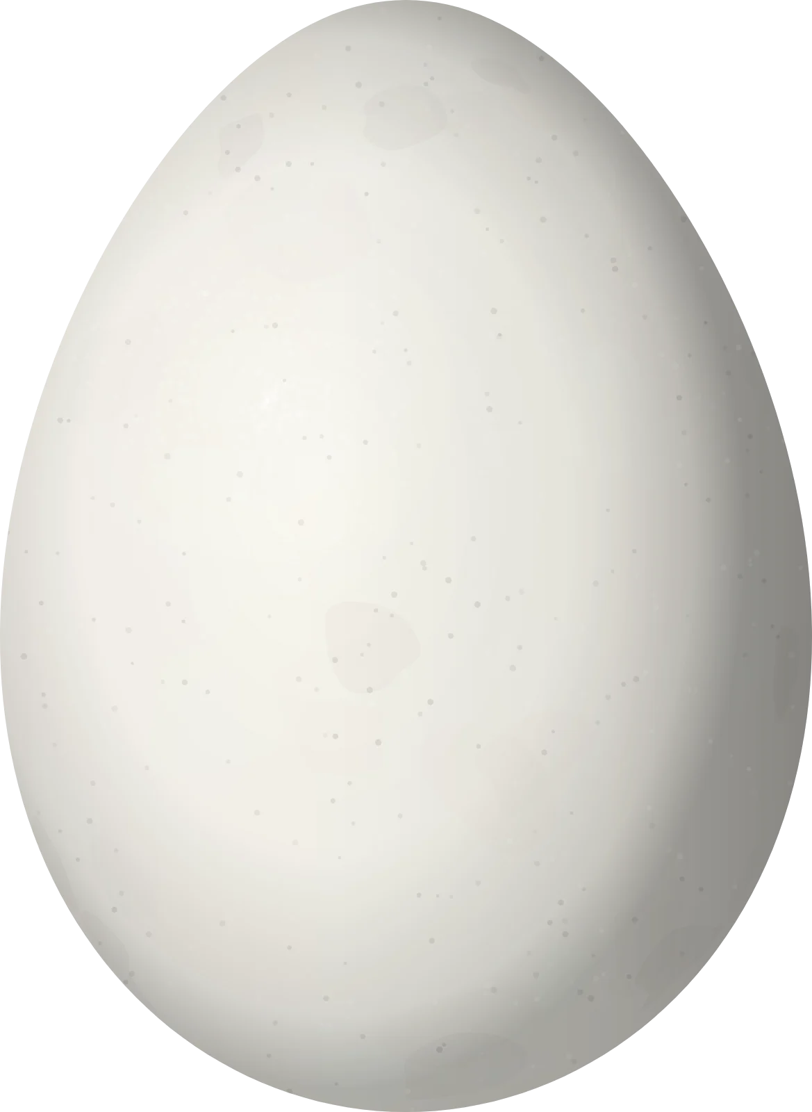 Illustration of a Marcapata Spinetail (Cranioleuca marcapatae) egg, 21.9 × 16 mm