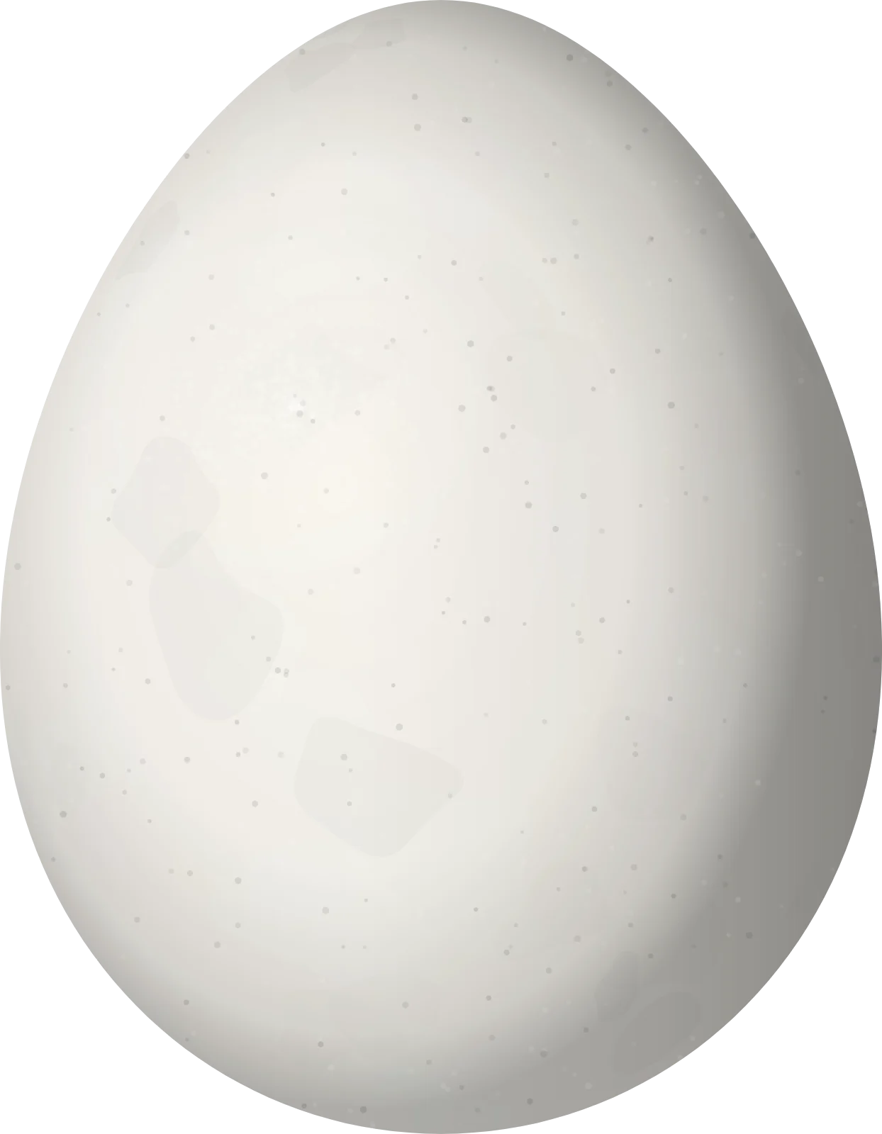 Illustration of a Marsh Tapaculo (Scytalopus iraiensis) egg, 22.9 × 17.8 mm
