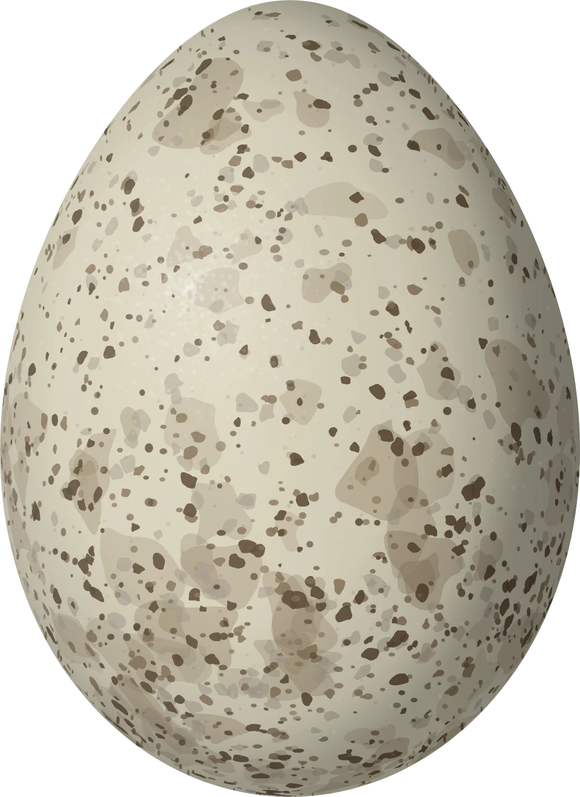 Illustration of a Masked Cardinal (Paroaria nigrogenis) egg, 20.2 × 14.7 mm