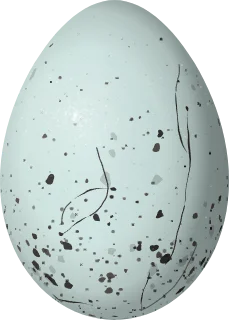 Illustration of a Masked Saltator (Saltator cinctus) egg, 26.5 × 19 mm