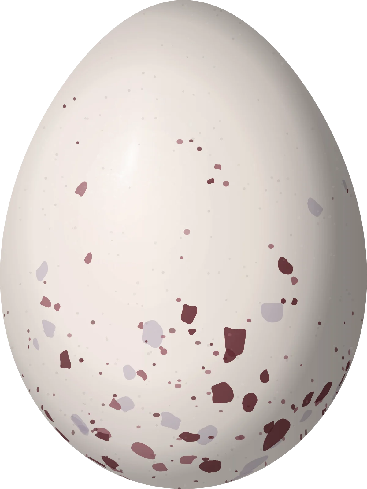Illustration of a Masked Water Tyrant (Fluvicola nengeta) egg, 20 × 15 mm
