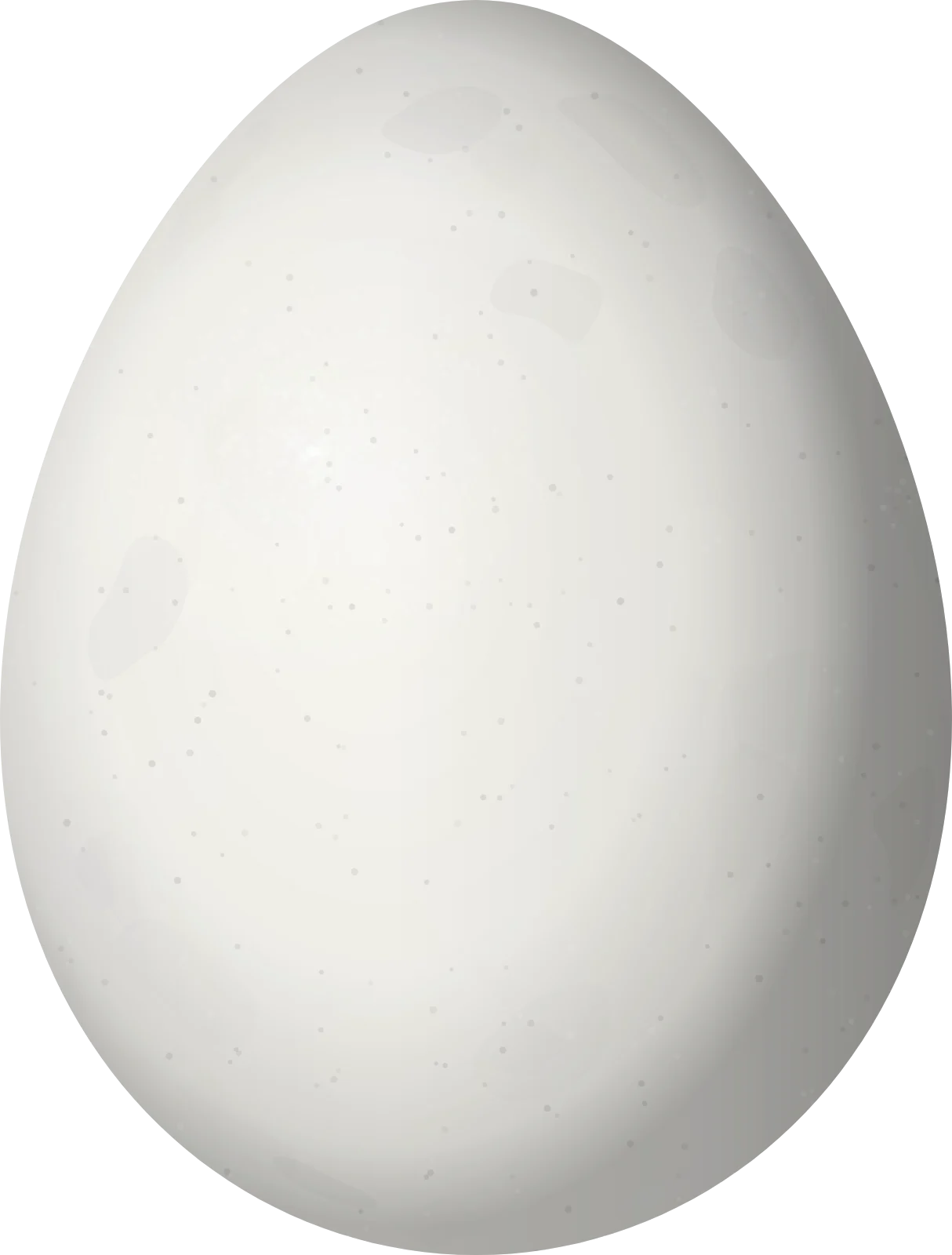 Illustration of a McConnell's Spinetail (Synallaxis macconnelli) egg, 20.3 × 15.4 mm
