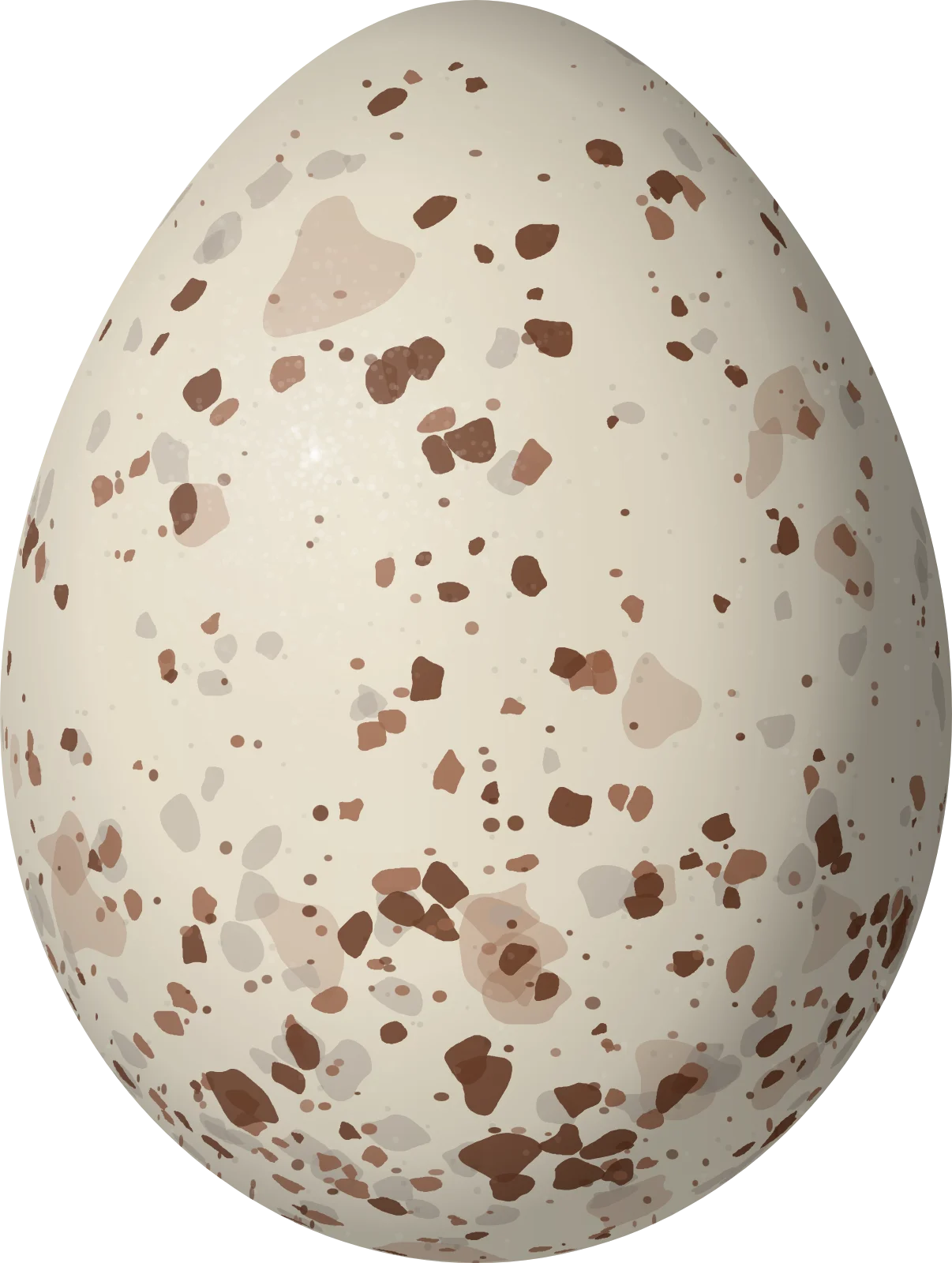 Illustration of a Medium Ground Finch (Geospiza fortis) egg, 19.9 × 15 mm