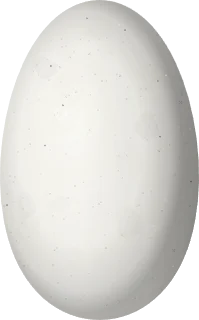 Illustration of a Mexican Sheartail (Doricha eliza) egg, 12.2 × 7.6 mm