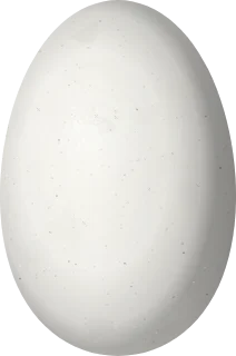 Illustration of a Minute Hermit (Phaethornis idaliae) egg, 14.2 × 9.4 mm