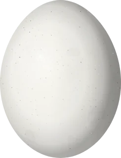 Monk Parakeet egg, 29 × 22.2 mm