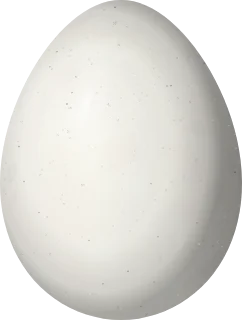 Illustration of a Montane Woodcreeper (Lepidocolaptes lacrymiger) egg, 25.9 × 19.6 mm