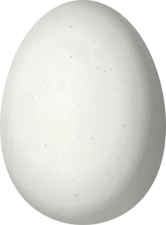 Mottled Duck egg, 54.9 × 40.5 mm