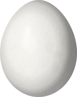 Illustration of a Mottled Piculet (Picumnus nebulosus) egg, 15.3 × 12.2 mm