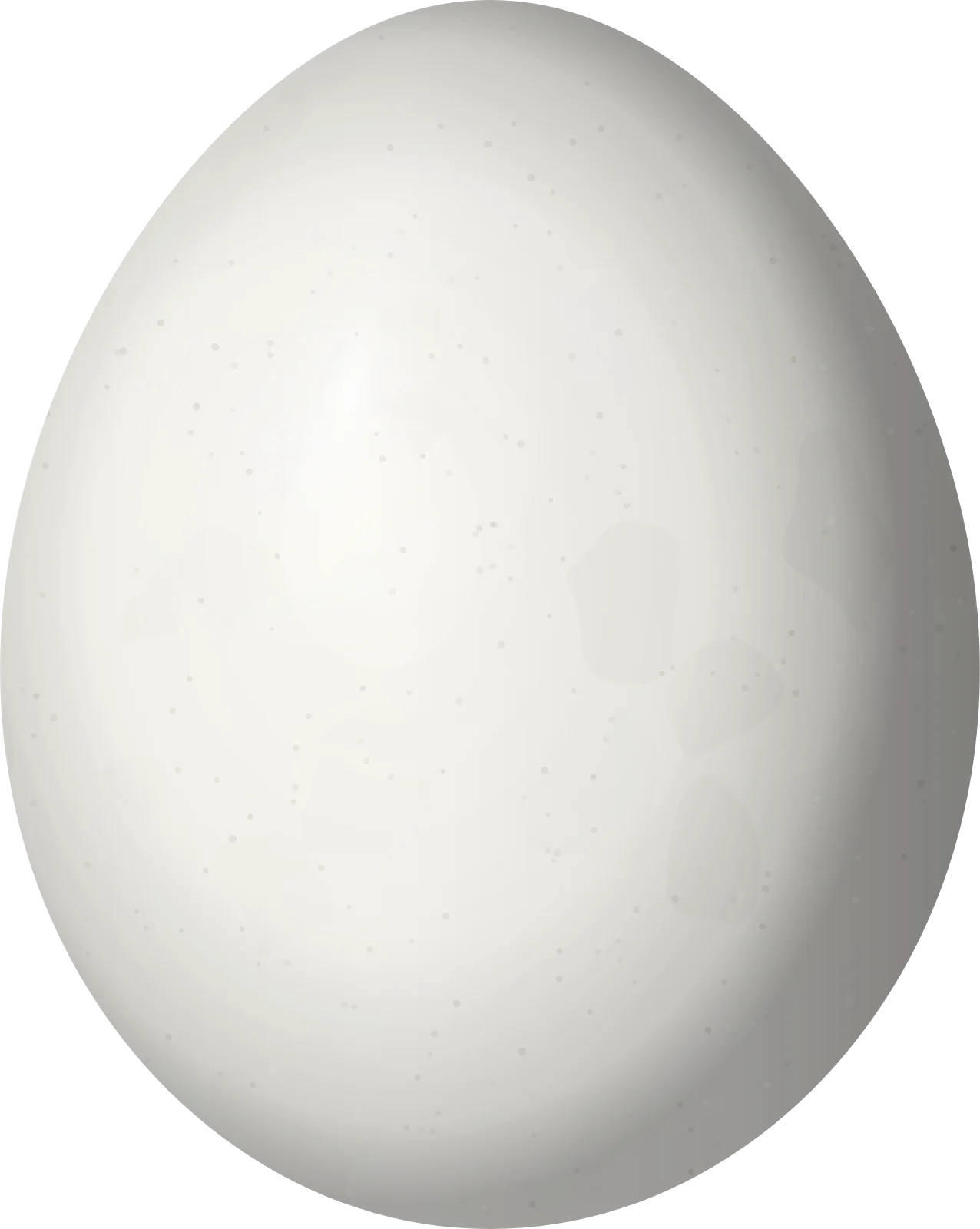 Illustration of a Mottled Piculet (Picumnus nebulosus) egg, 15.3 × 12.2 mm