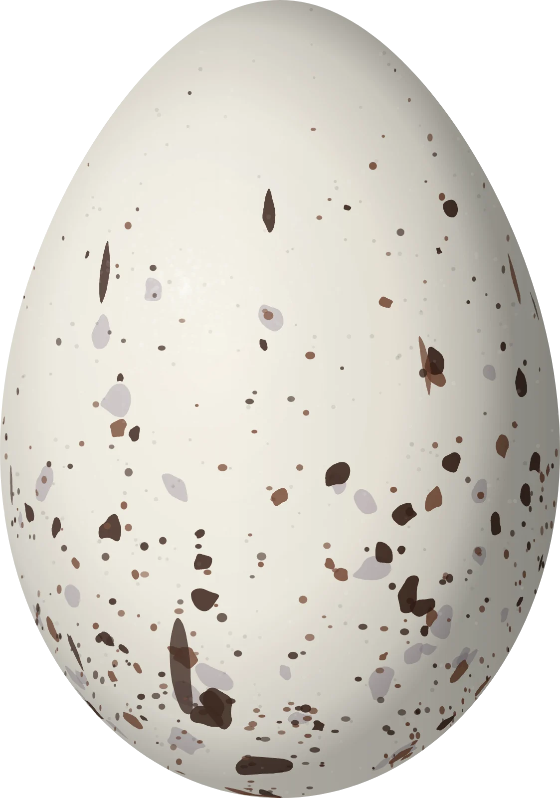 Illustration of a Mountain Cacique (Cacicus chrysonotus) egg, 33.2 × 23.3 mm