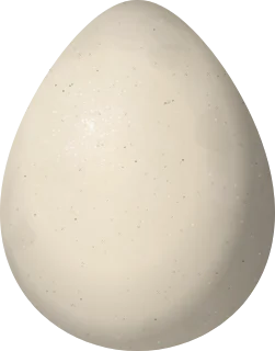 Mountain Quail egg, 34.1 × 26.7 mm