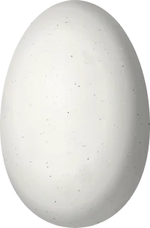 Illustration of a Mountain Velvetbreast (Lafresnaya lafresnayi) egg, 13.5 × 8.9 mm