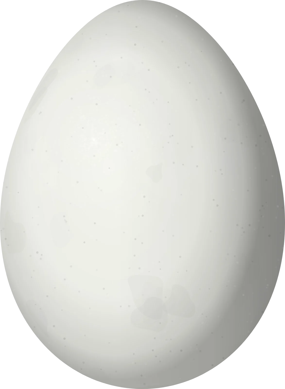 Illustration of a Mouse-colored Thistletail (Asthenes griseomurina) egg, 22.5 × 16.5 mm