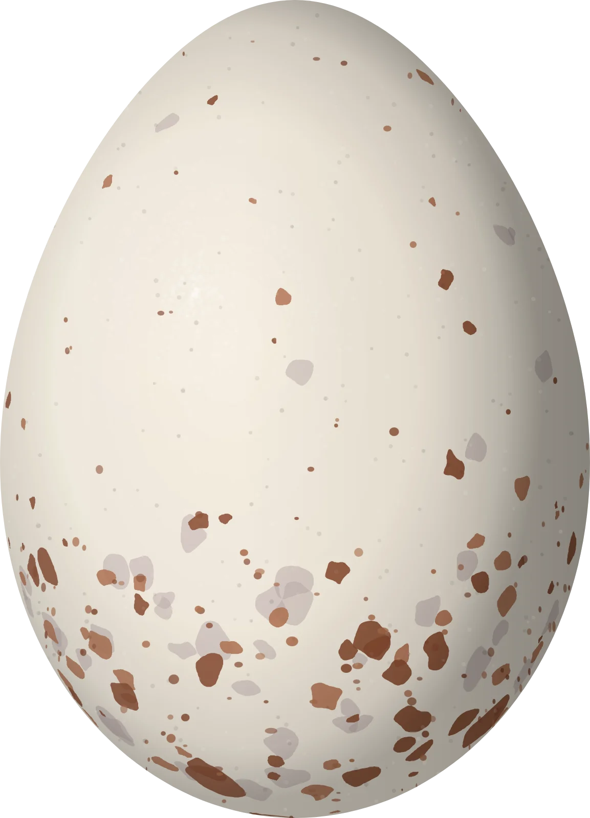 Illustration of a Mouse-grey Flycatcher (Myiophobus crypterythrus) egg, 17.9 × 12.9 mm