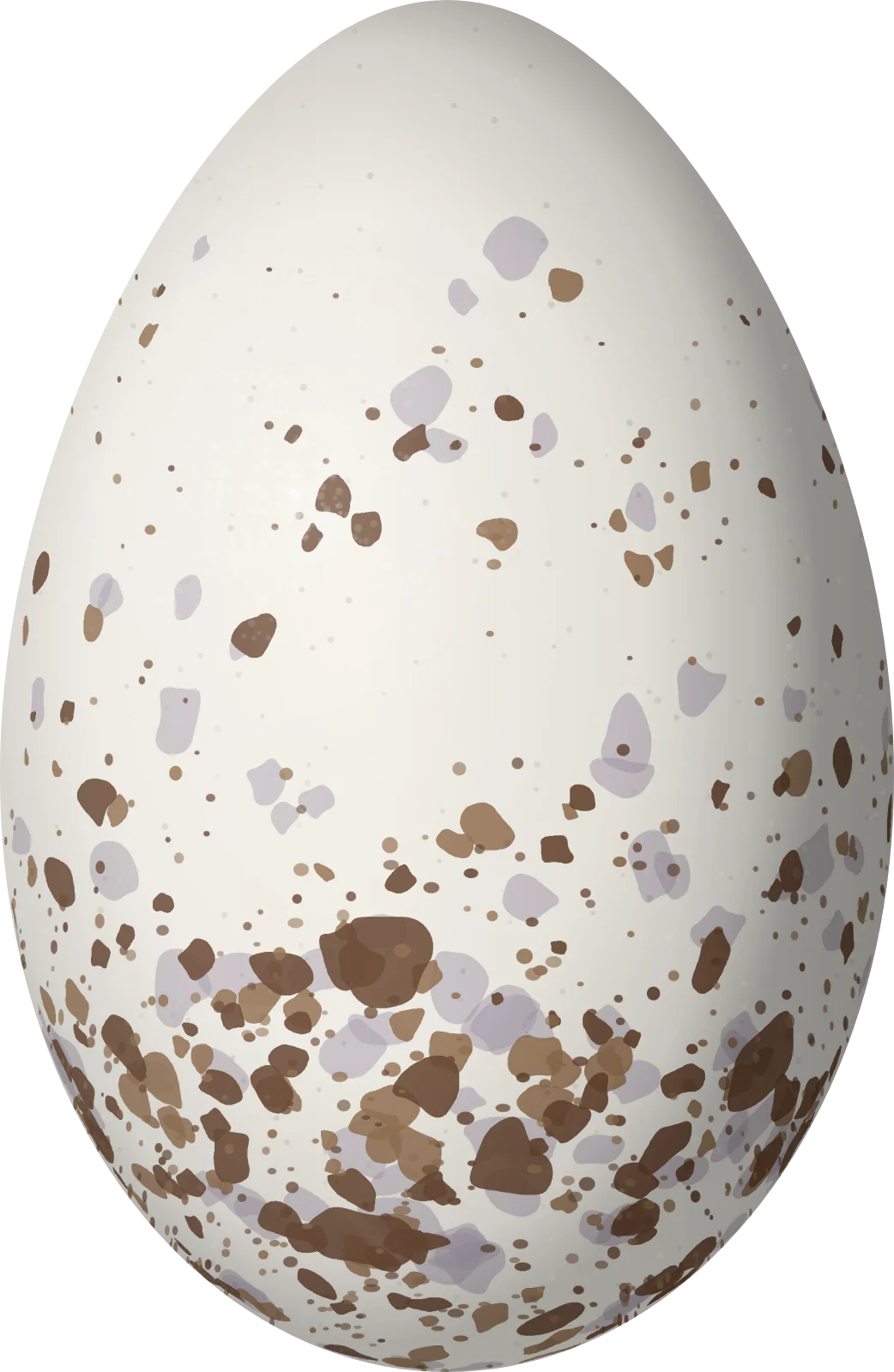 Illustration of a Moustached Brushfinch (Atlapetes albofrenatus) egg, 25.8 × 16.8 mm