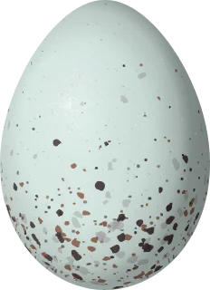 Illustration of a Moustached Flowerpiercer (Diglossa mystacalis) egg, 17.5 × 12.7 mm