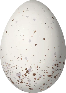 Illustration of a Moustached Wren (Pheugopedius genibarbis) egg, 20.25 × 14.5 mm