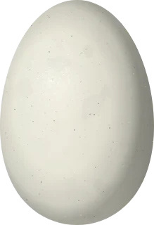 Muscovy Duck egg, 66.5 × 45.5 mm