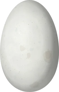 Mute Swan egg, 103 × 66.5 mm