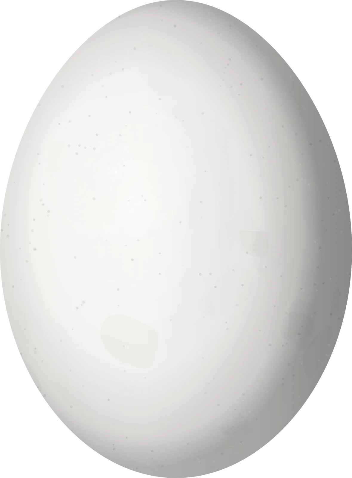 Illustration of a Nanday Parakeet (Aratinga nenday) egg, 30 × 22.1 mm