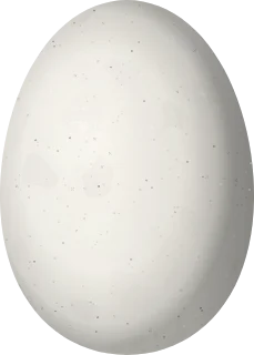 Illustration of a Napo Sabrewing (Campylopterus villaviscensio) egg, 15.5 × 11.1 mm