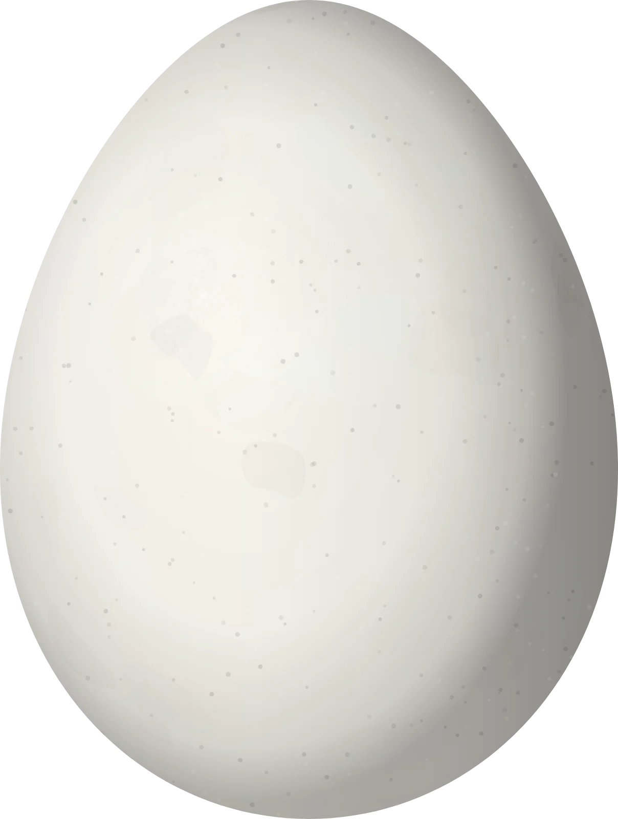 Illustration of a Narrow-billed Woodcreeper (Lepidocolaptes angustirostris) egg, 25.7 × 19.4 mm