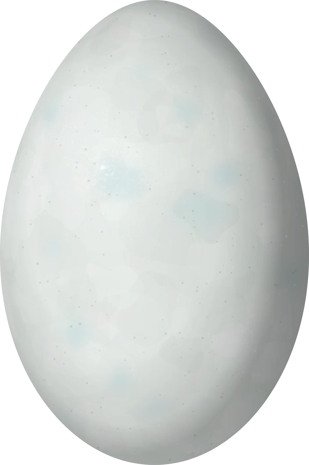 Illustration of a Nazca Booby (Sula granti) egg, 62 × 41.2 mm