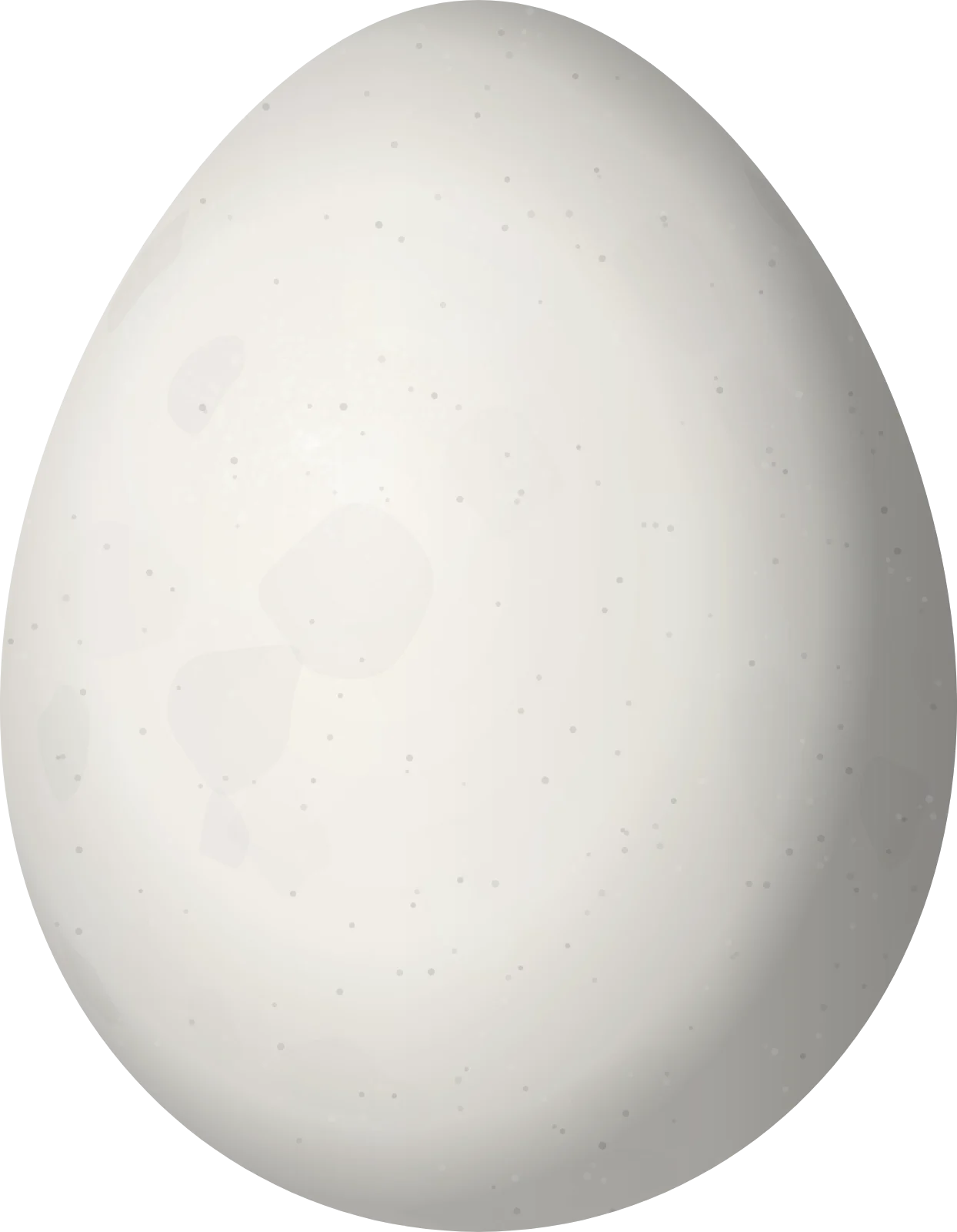 Illustration of a Neblina Tapaculo (Scytalopus altirostris) egg, 22.9 × 17.8 mm