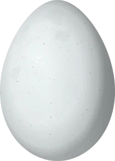 Illustration of a Niceforo's Wren (Thryophilus nicefori) egg, 20.2 × 14.4 mm