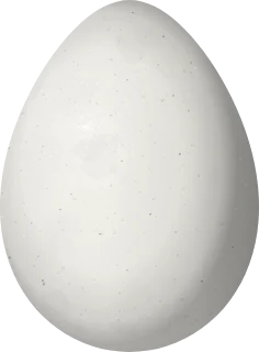 Illustration of a Nocturnal Curassow (Nothocrax urumutum) egg, 71 × 52.3 mm