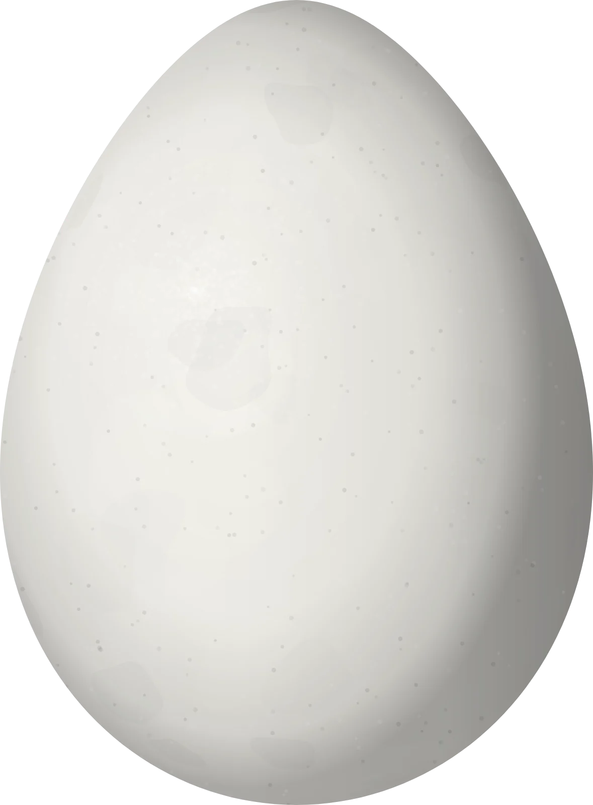 Illustration of a Nocturnal Curassow (Nothocrax urumutum) egg, 71 × 52.3 mm