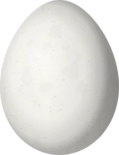 Northern Flicker egg, 26.85 × 20.58 mm