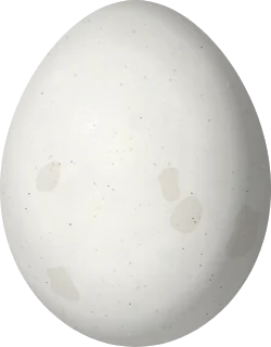 Northern Harrier egg, 46.6 × 36.4 mm