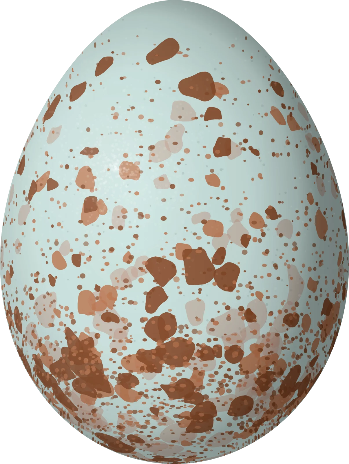 Illustration of a Northern Mockingbird (Mimus polyglottos) egg, 24.3 × 18.3 mm