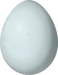 Illustration of a Northern Red Bishop (Euplectes franciscanus) egg, 17 × 13 mm