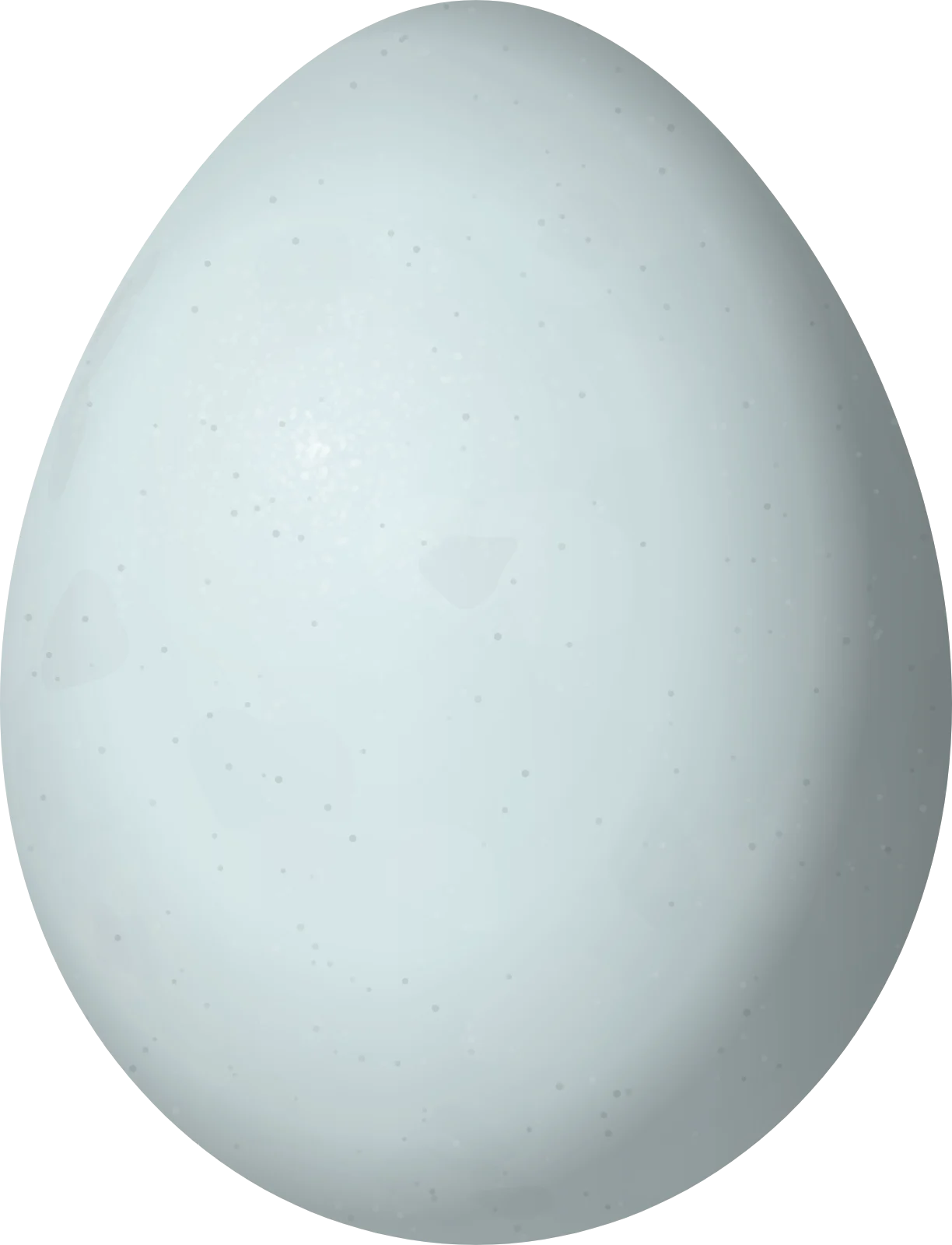 Illustration of a Northern Red Bishop (Euplectes franciscanus) egg, 17 × 13 mm