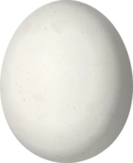 Northern Saw-whet Owl egg, 30.5 × 25 mm
