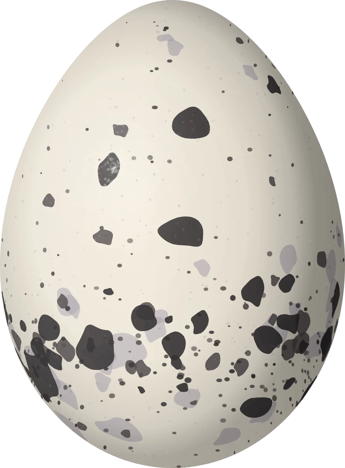 Illustration of a Northern Schiffornis (Schiffornis veraepacis) egg, 24.3 × 17.9 mm