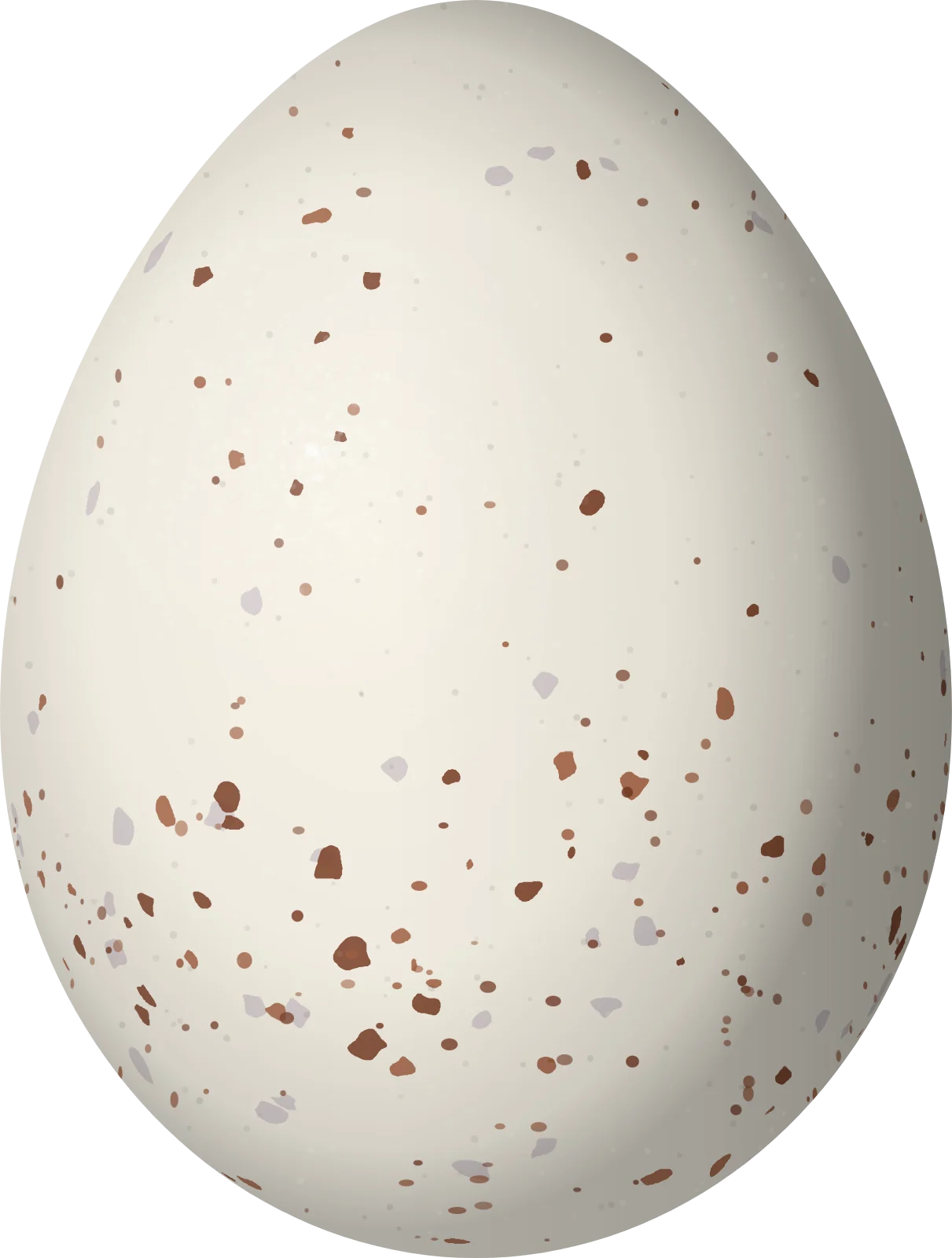 Illustration of a Northern Scrub Flycatcher (Sublegatus arenarum) egg, 18.5 × 14 mm